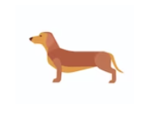 CBD perros medianos